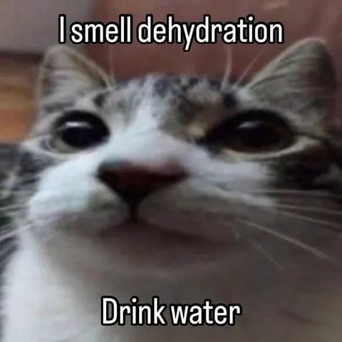 I Smell Dehydration Cat