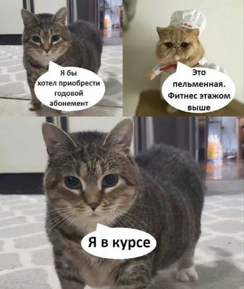 Абонемент в пельменную