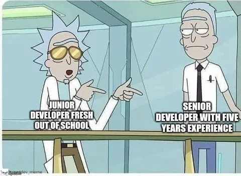 Junior Developer vs Senior Developer