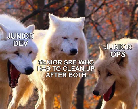 Junior Dev and Junior Ops
