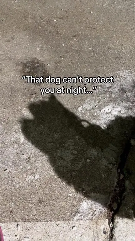 That Dog Can’t Protect You