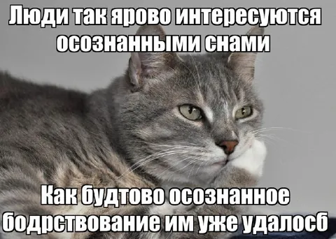 Осознанное подлизывание кота