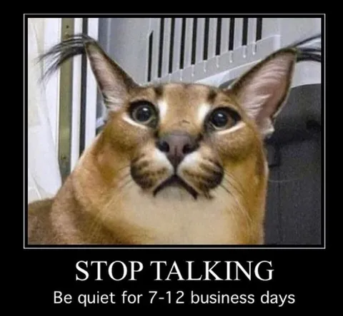 Stop Talking Caracal