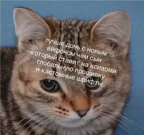 Дочь с айфоном лучше сына