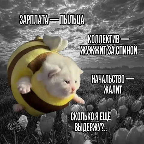 Пчелиная работа с начальством
