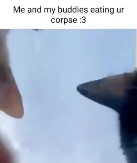 Cats Eating Your Corpse
