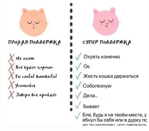 Плохая и супер поддержка