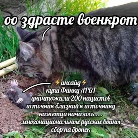 Военкрот уничтожил 200 нацистов