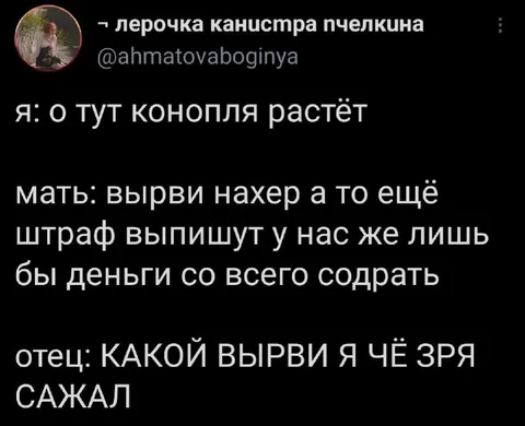 Отец посадил коноплю