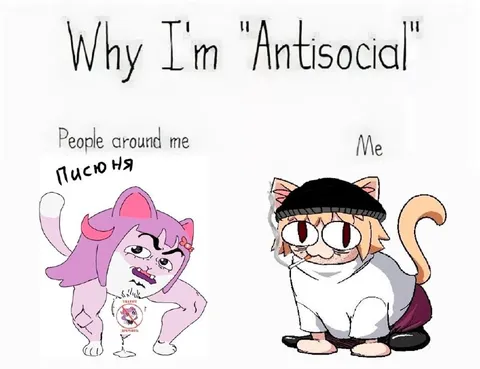 Why I'm Antisocial Cats