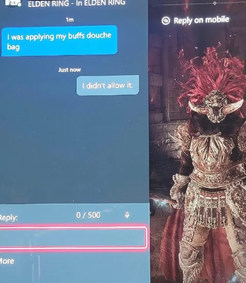 I Didn't Allow It