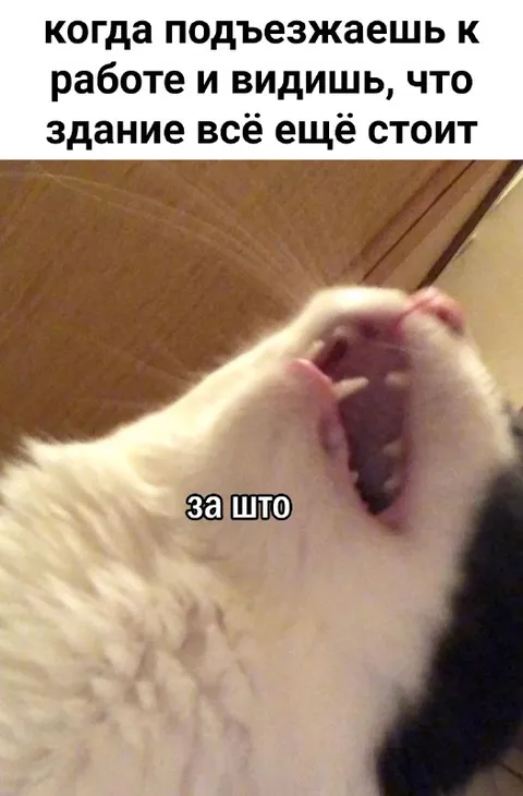 Когда здание всё ещё стоит
