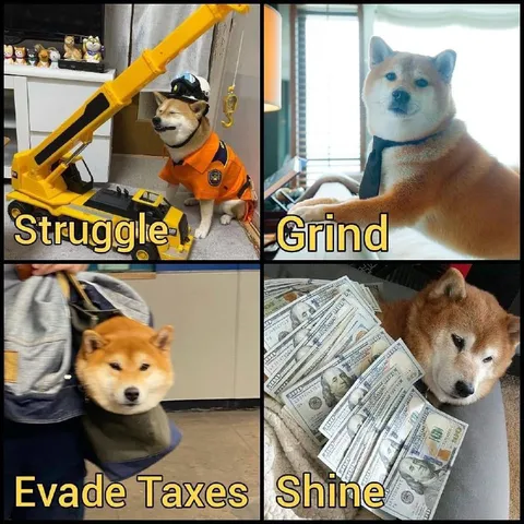 Shiba Inu Struggle Grind Evade Taxes Shine