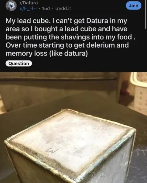 Lead Cube Datura Experiment