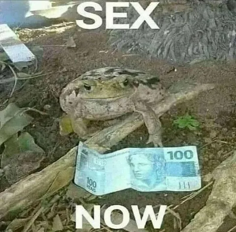 Sex Now Frog