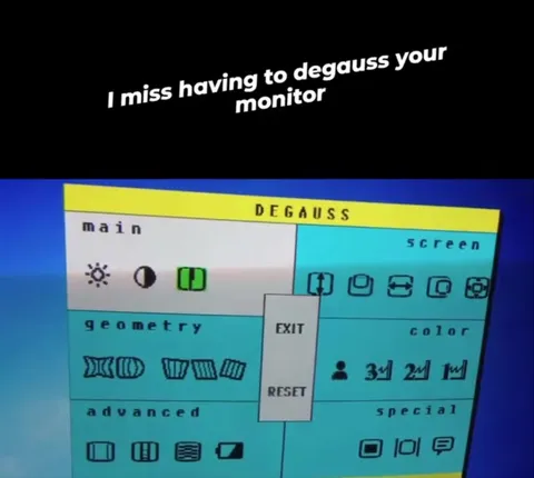 I Miss Degaussing Your Monitor