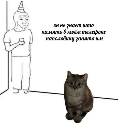 Память телефона занята котом