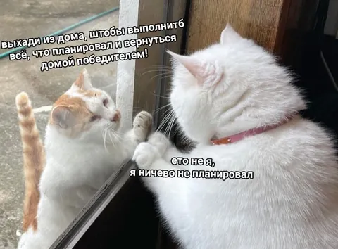 Я ничего не планировал