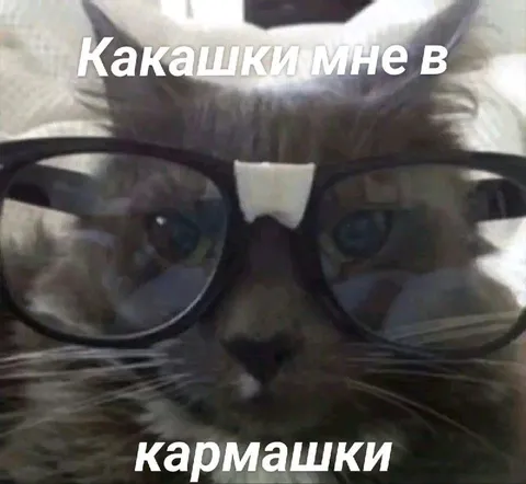 Какашки мне в кармашки