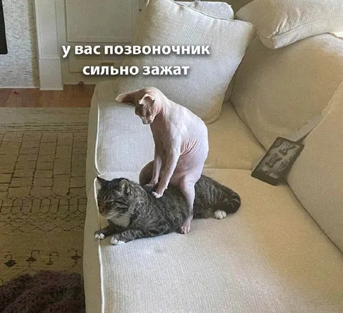Позвоночник сильно зажат