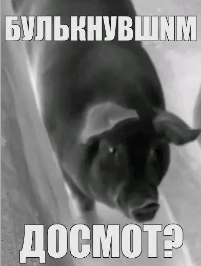 Булькнувшим досмот?