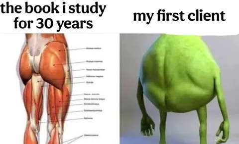 Anatomy Book Meets First Client