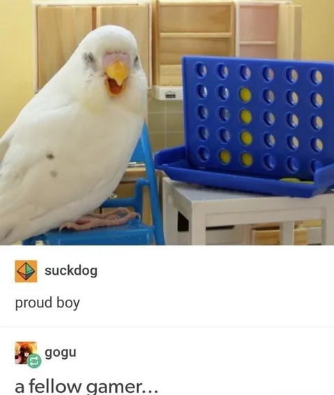 Proud Connect Four Gamer