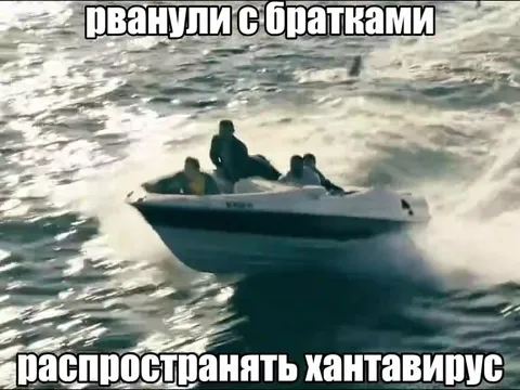 Рванули распространять хантавирус