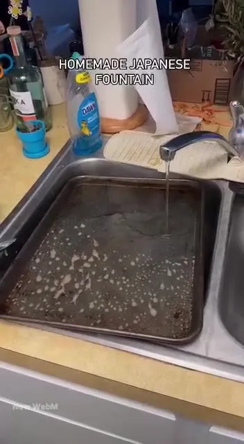 Homemade Japanese Fountain