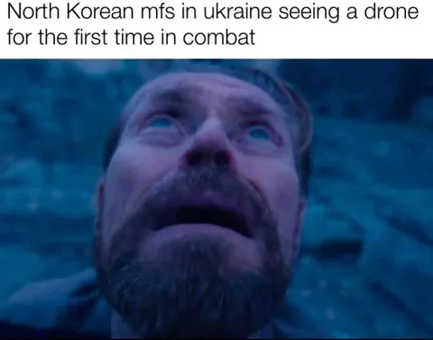 North Koreans See a Drone