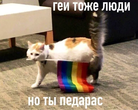 Геи тоже люди, но ты педерас