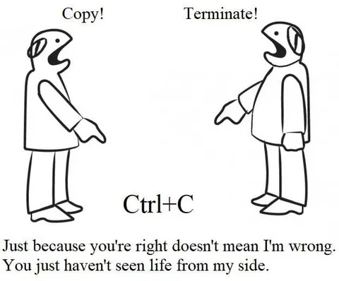 Copy and Terminate Argument