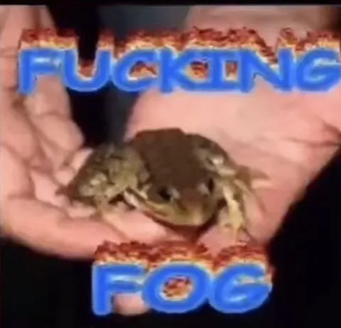 Fucking Frog