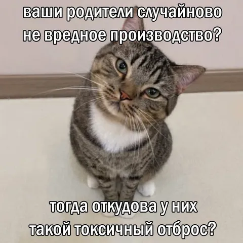 Кот задаёт неудобный вопрос