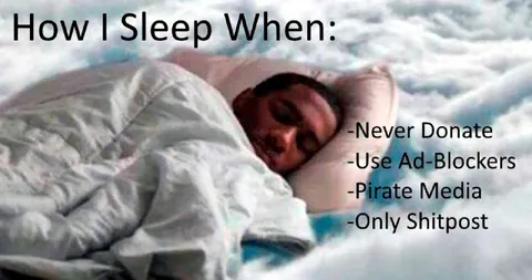How I Sleep When Pirating Media