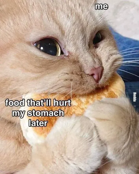 Cat Eating Food That Hurts Later