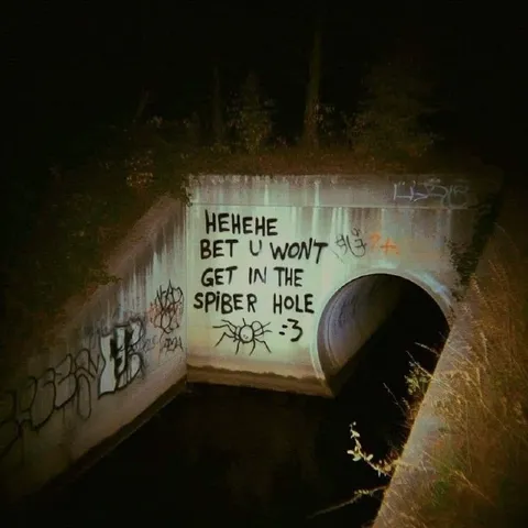 Bet You Won’t Enter the Spider Hole