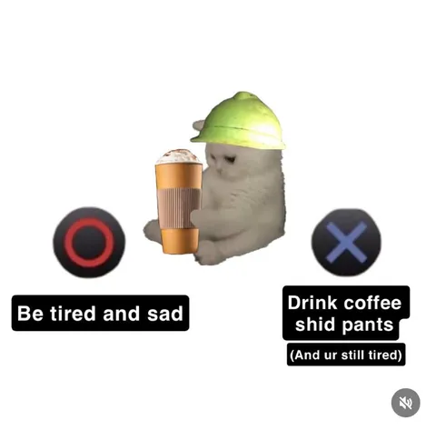 Coffee Still Tired Cat