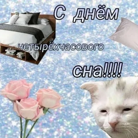 С днём четырёхчасового сна