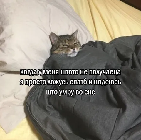 Ложусь спать и надеюсь на лучшее