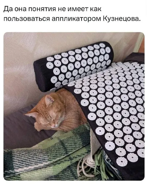 Кошка на аппликаторе Кузнецова
