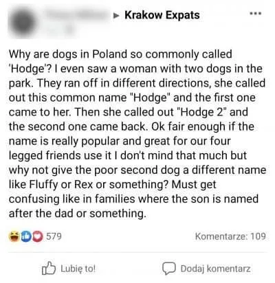 Why Are All Dogs Called Hodge?