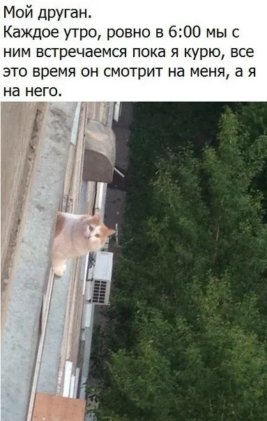 Друг, который смотрит из окна