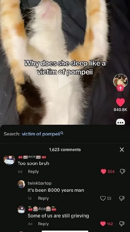 Cat Sleeps Like Pompeii Victim