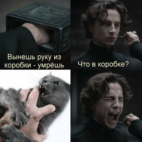Рука в коробке