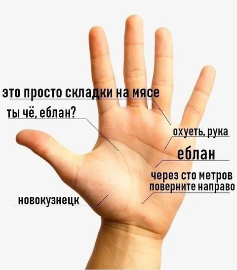 Складки на мясе и Новокузнецк