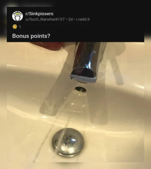 Bonus Points for Sink Pissing