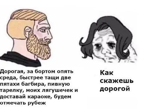 Дорогая, за бортом опять среда
