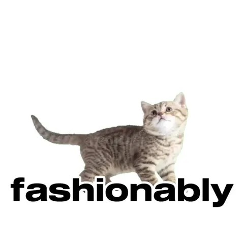 Fashionably Never Landing