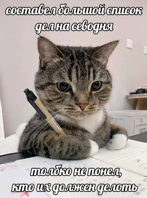 Большой список дел на сегодня